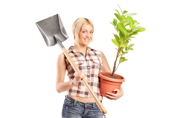 Mulher segurando pá e uma planta — Fotografia de Stock