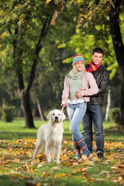 Couple and dog in park — Stock Photo, Image