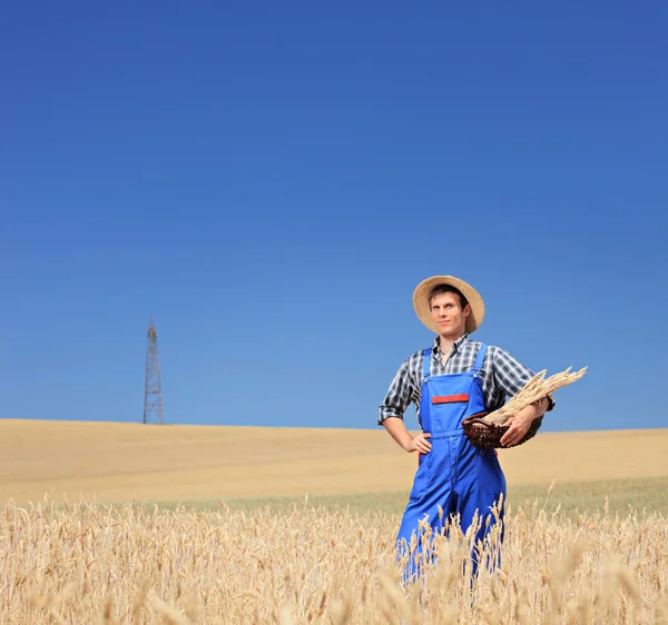 Farmář hospodářství koš — Stock fotografie