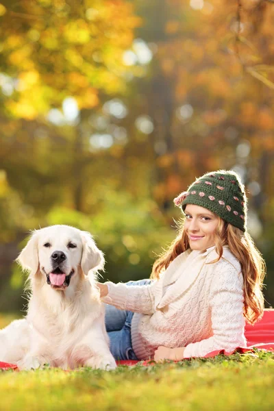 Young female with her dog in park — Stock Photo, Image