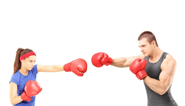 Female and male boxers — Stock Photo, Image