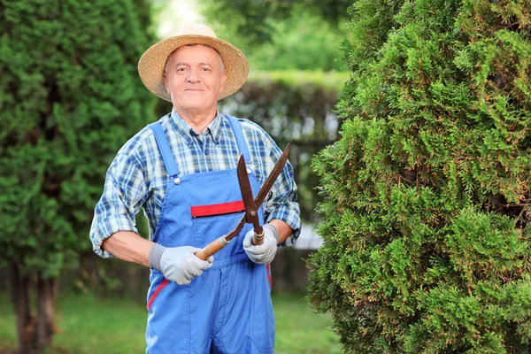 Homem que corta cerca no jardim — Fotografia de Stock