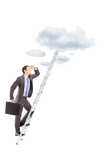 Businessman with briefcase climbing ladder — Stock Photo, Image