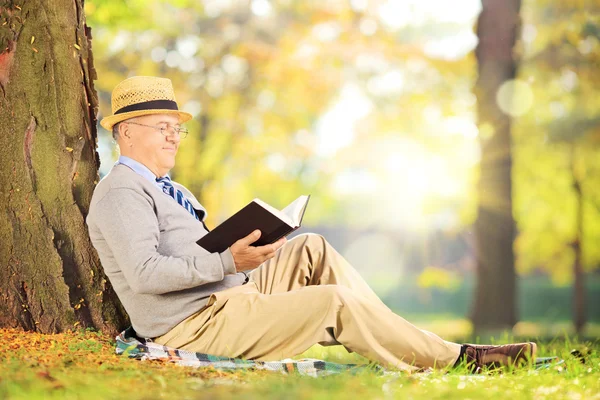 Senior gentleman lezen in park — Stockfoto