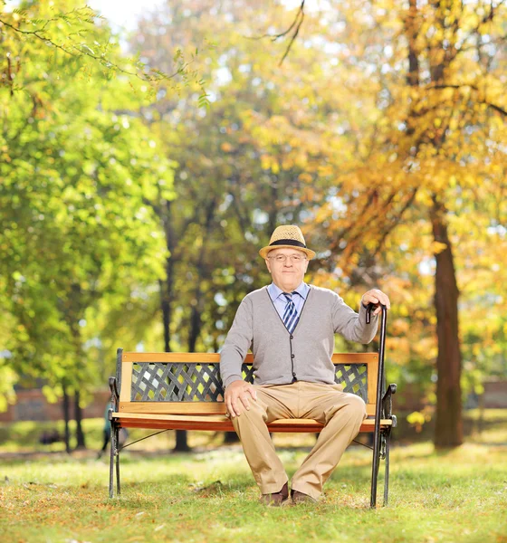 Uvolněné starší pán v parku — Stock fotografie
