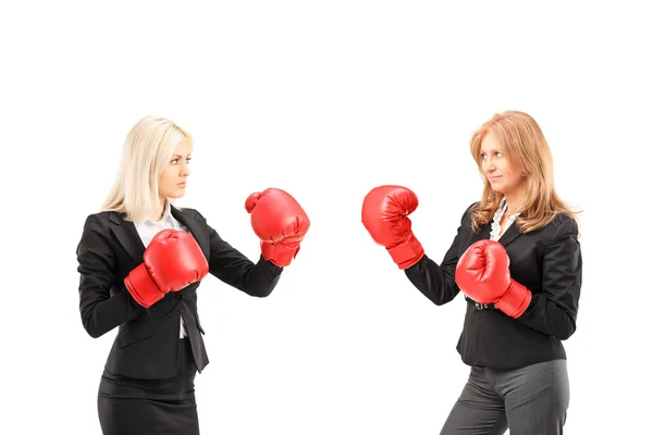 Деловые женщины в боксёрских перчатках — стоковое фото