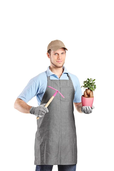 Gardener holding mattock and plant — Stock Photo, Image