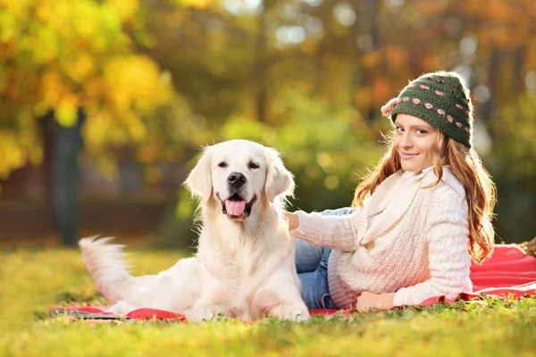Vrouw op een gras met labrador hond — Stockfoto