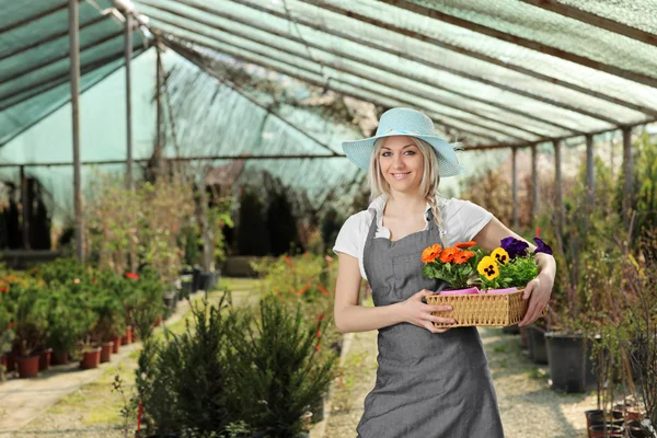 Jardinero femenino con flores —  Fotos de Stock