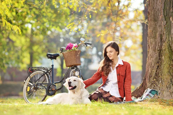 Vrouw zitten met hond — Stockfoto