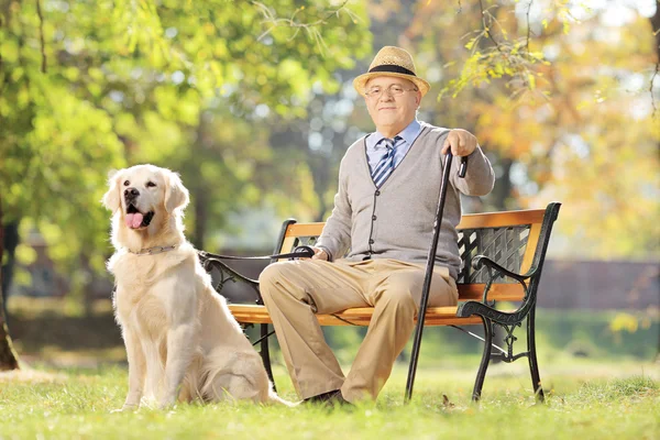 Äldre man med en hund i en park — Stockfoto