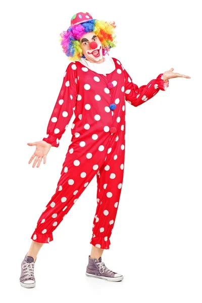 Glücklich lächelnder Clown gestikuliert — Stockfoto