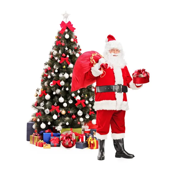 Santa Claus with bag — Stock Photo, Image