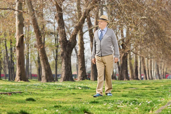Senior geht im Park spazieren — Stockfoto