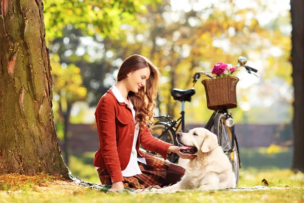 Kvinna tittar på hund — Stockfoto