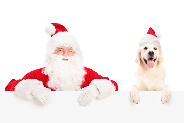 Санта-Клаус и собака — стоковое фото