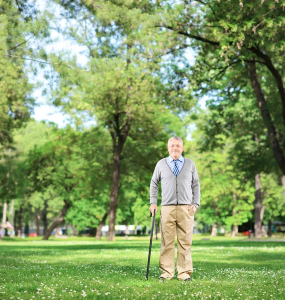 Senior férfi gyaloglás-val cukornád — Stock Fotó