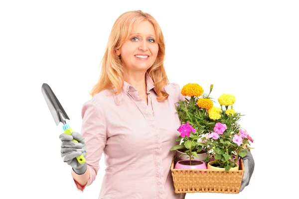 Jardineiro segurando flores — Fotografia de Stock