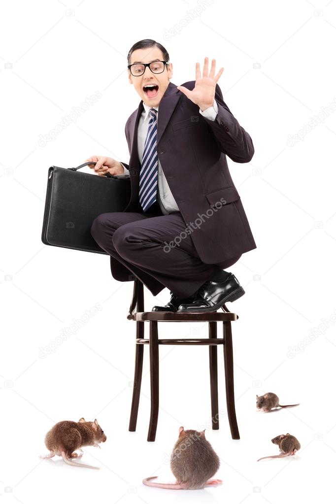 Businessman standing on chair