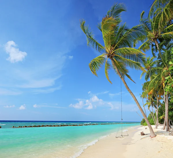 Beach scene — Stock Photo, Image