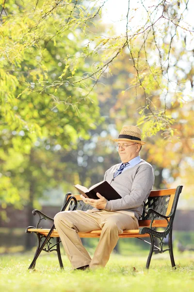 Äldre man läser en bok i parken — Stockfoto