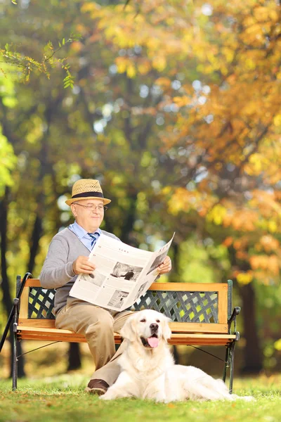 Starší muž, čtení novin se psem — Stock fotografie