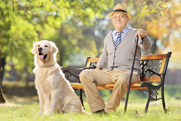 Homem sênior com seu cão no parque — Fotografia de Stock