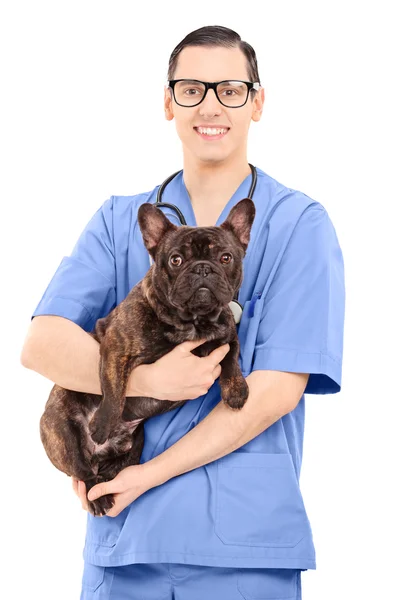 Veterinario macho sosteniendo un perro — Foto de Stock