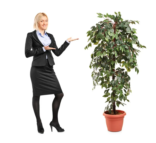 Vrouwelijke weergegeven: decoratieve boom — Stockfoto