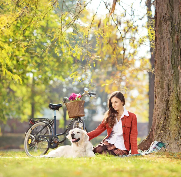 犬と一緒に座っている女性 — ストック写真