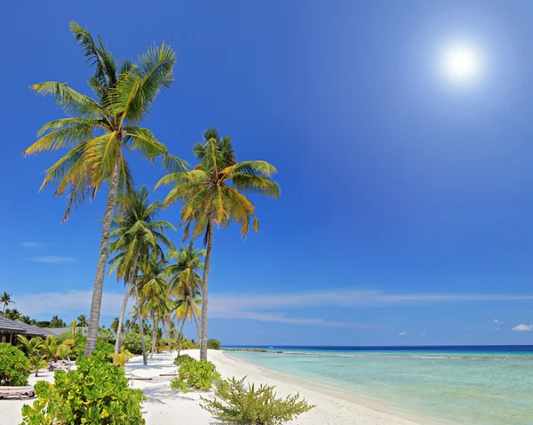 Isola delle Maldive — Foto Stock