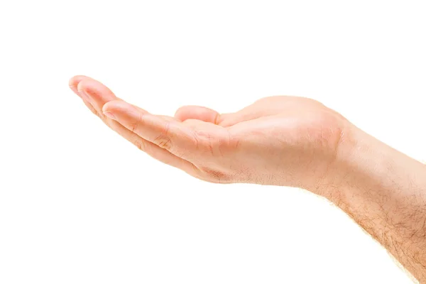 Студийный снимок руки — стоковое фото