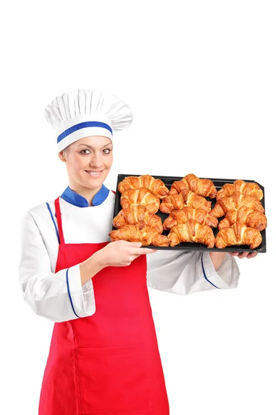 Female pastry chef — Stock Photo, Image