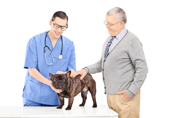 Sénior levando seu cão para o veterinário — Fotografia de Stock