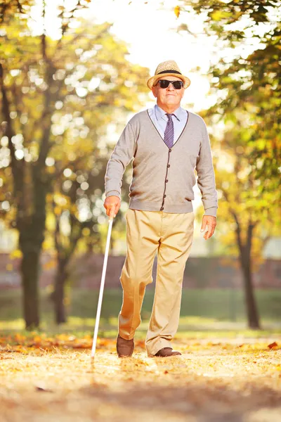 Mature person holding stick — Stock Photo, Image