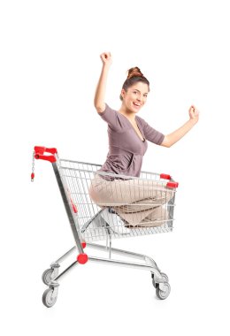 alışveriş sepeti sürme kadın