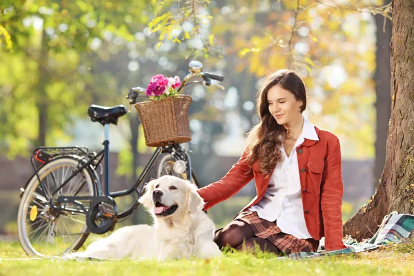 Krásná žena se svým psem — Stock fotografie