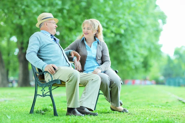 Bejaarde echtpaar ontspannen in park — Stockfoto