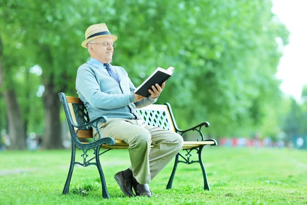 Elderly reading seated on bench — Stock Photo, Image