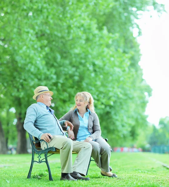 Starší pár mluví v parku — Stock fotografie