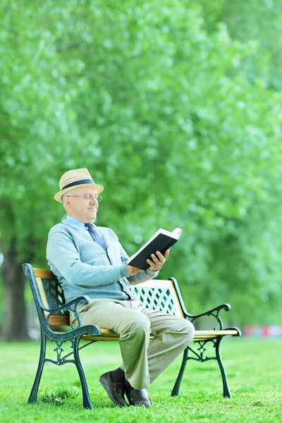 Älterer Mann entspannt sich im Park — Stockfoto