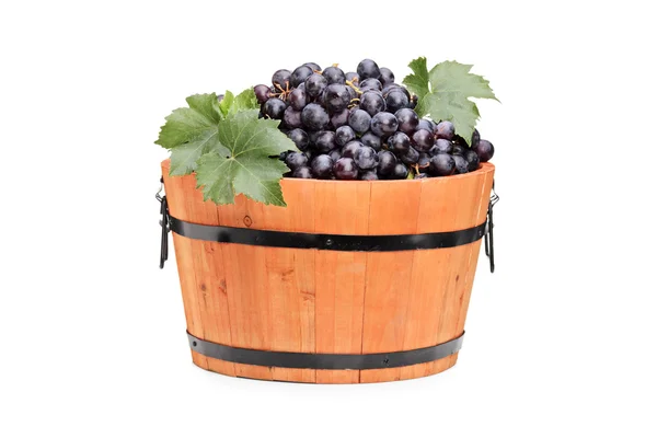 Виноград в деревянной бочке — стоковое фото