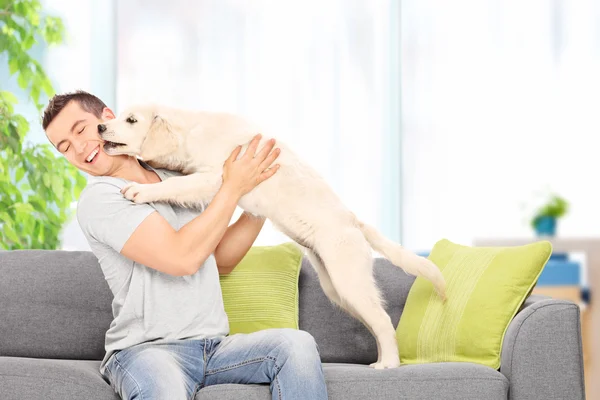 Man playing with puppy — Stock Photo, Image