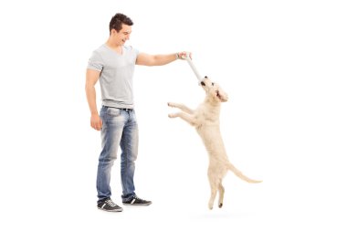 köpekle oynayan adam