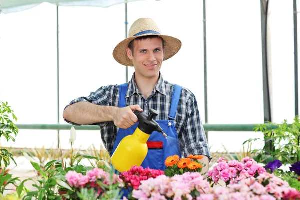 Male gardener watering flowers — Stock Photo, Image