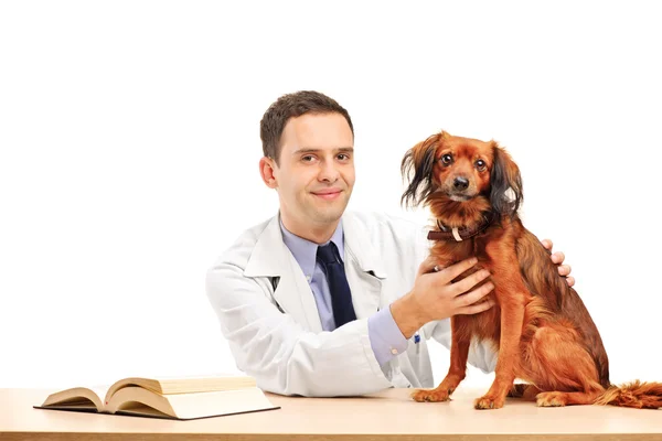 Veterinär och hund — Stockfoto