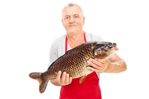 Mature fishmonger holding common carp — Stock Photo, Image