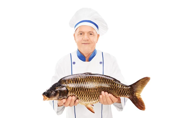 Chef maduro segurando peixe não cozido — Fotografia de Stock