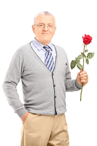 Mature gentleman holding red rose — Stock Photo, Image