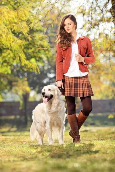 公園で犬を持つ少女 — ストック写真